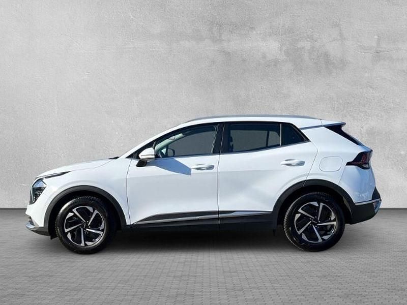 Gebraucht Kia Sportage Vision 160 PS (117 kW) 2024 Weiß SUV