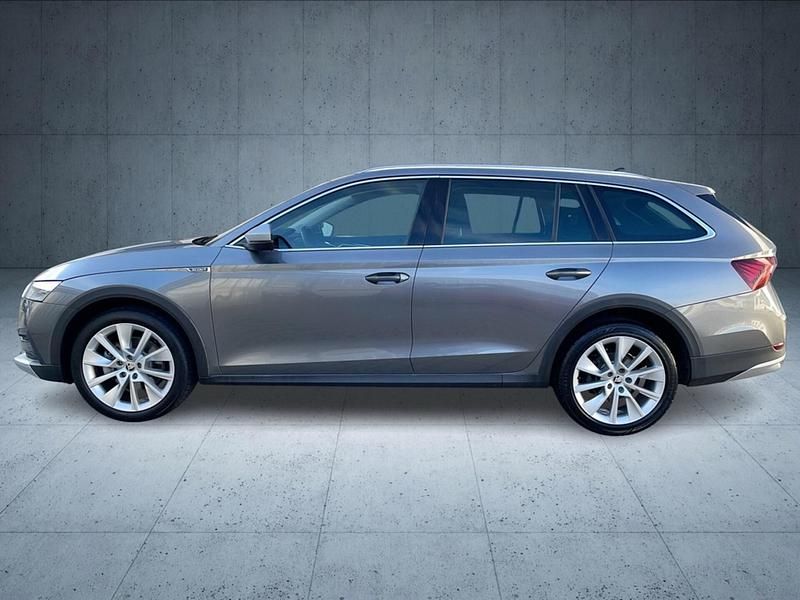 Gebraucht Skoda Octavia 200 PS (147 kW) 2024 Graphite grau metallic Kombi