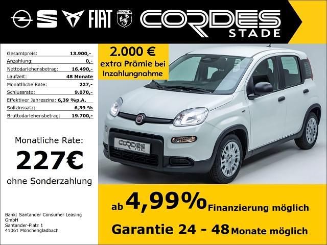 Colore esterno (weiss) Neu 2025 Fiat Panda Kleinwagen | 13.900 € (Guter Preis) - Bild 1/4