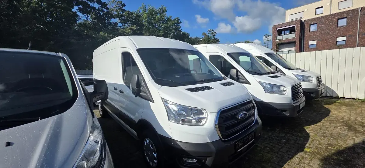 Gebraucht Ford Transit Trend 131 PS (96 kW) 2021 Frostweiß Pickup