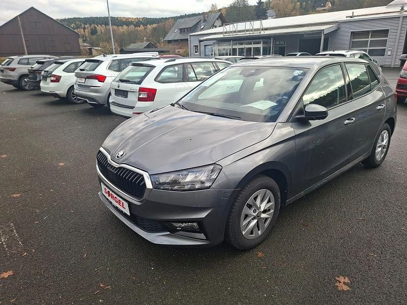 Grau Gebraucht 2024 Skoda Fabia Selection Kleinwagen | 18.670 € (Fairer Preis) - Bild 1/4