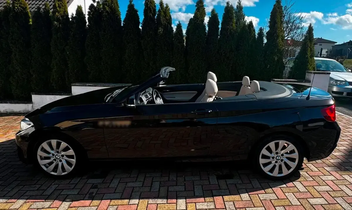 Gebraucht BMW 220 Luxury Line 190 PS (139 kW) 2015 Braun Cabrio