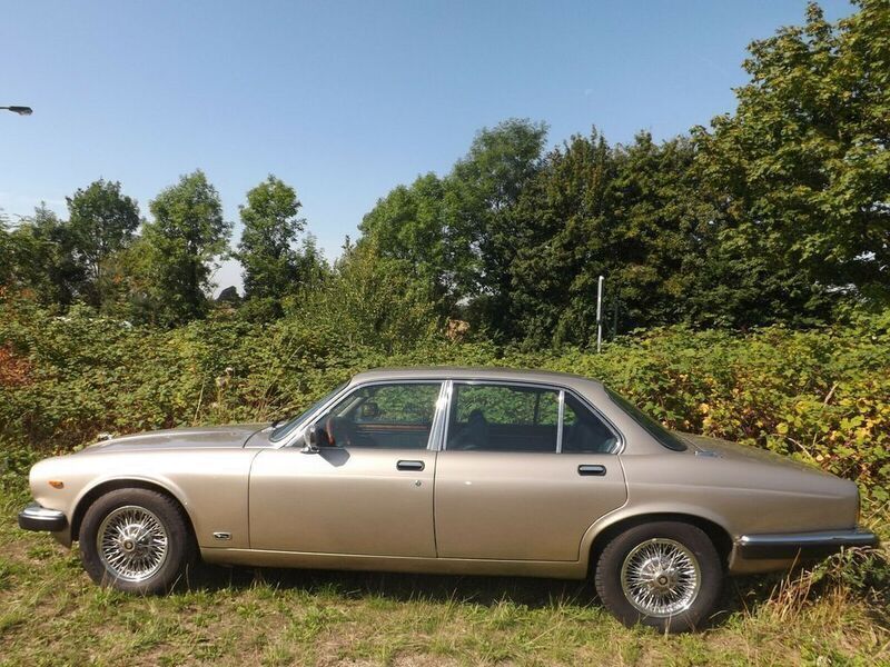 Gebraucht Jaguar XJ12 295 PS (216 kW) 1987 Gold Limousine