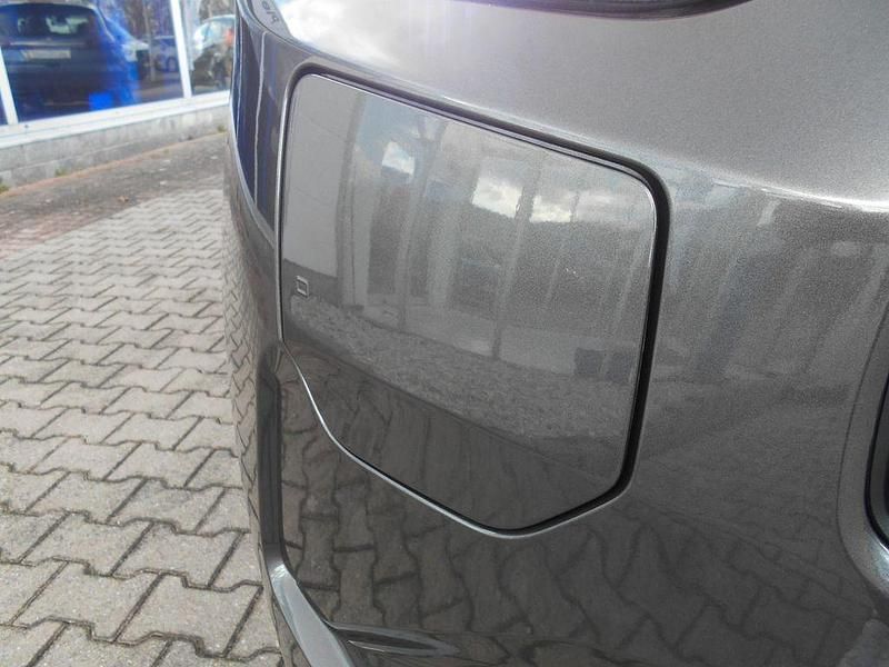 Neu Ford Tourneo 232 PS (170 kW) 2026 Grau Van / Kleinbus