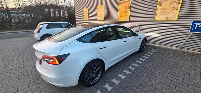 Gebraucht Tesla Model 3 Standard Range Plus 220 kW (300 PS) 2021 Weiß Limousine