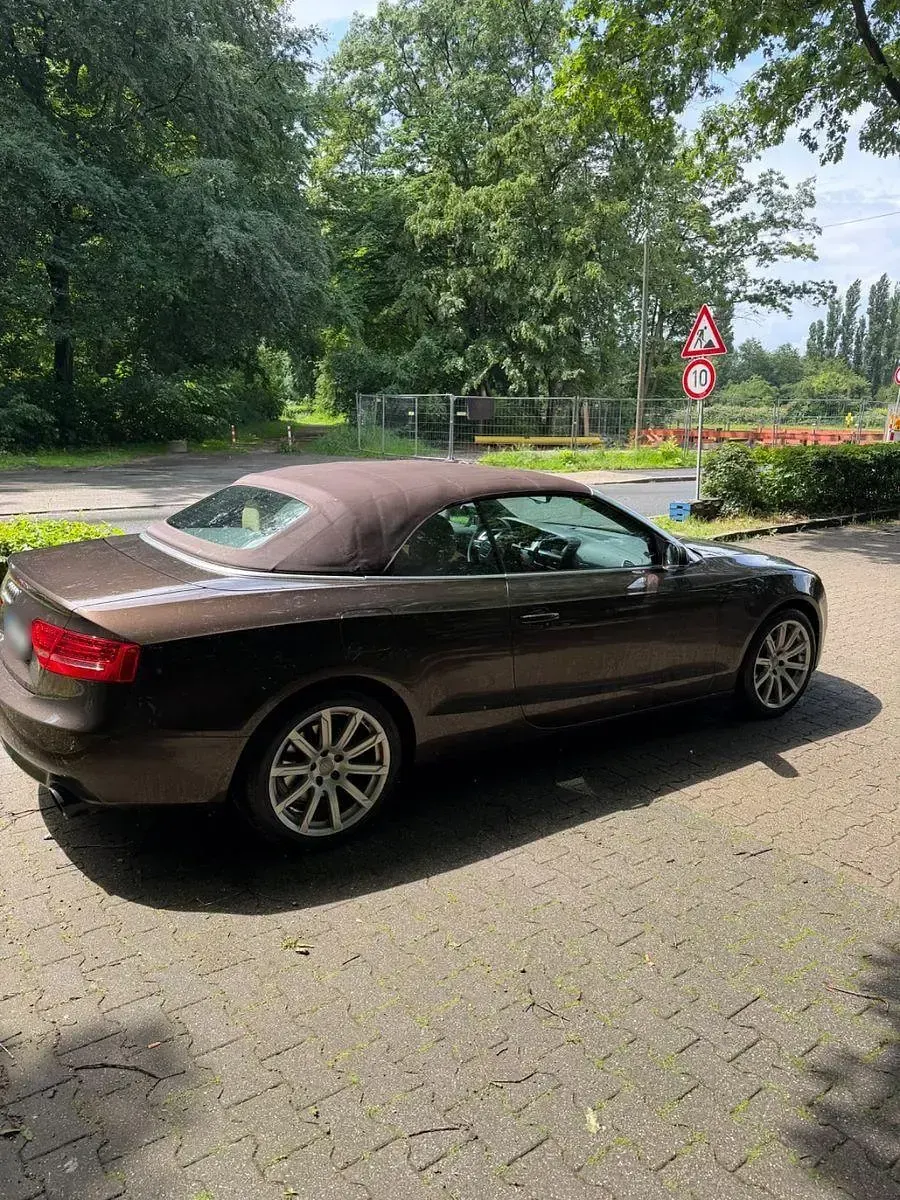 Gebraucht Audi A5 Cabriolet Comfort 211 PS (155 kW) 2011 Braun Cabrio