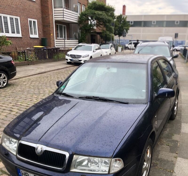 Blau Gebraucht 2002 Skoda Octavia Ambiente Limousine | 770 € (Guter Preis) - Bild 1/2