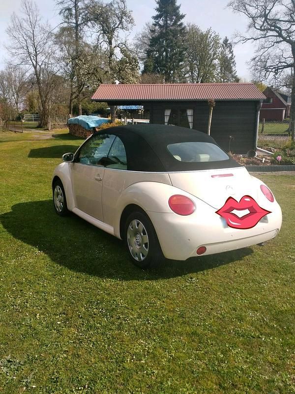 Gebraucht VW New Beetle Cabriolet 101 PS (74 kW) 2003 Beige Cabrio