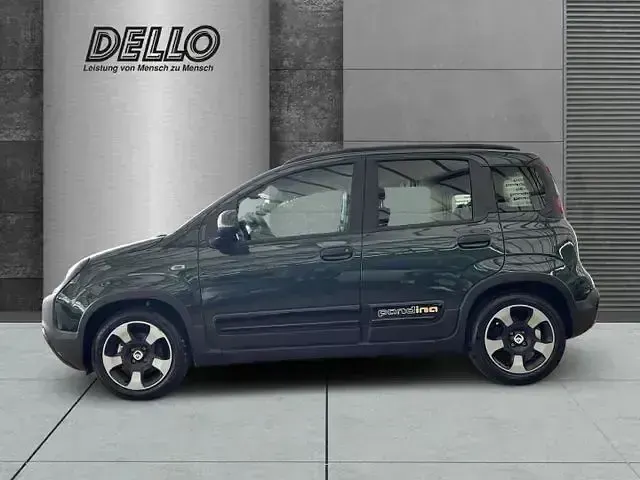 Neu Fiat Panda Cross Cross 69 PS (50 kW) 2026 Foresta grün Kleinwagen