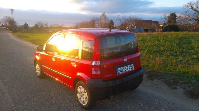 Gebraucht Fiat Panda 54 PS (39 kW) 2011 Rot Kleinwagen