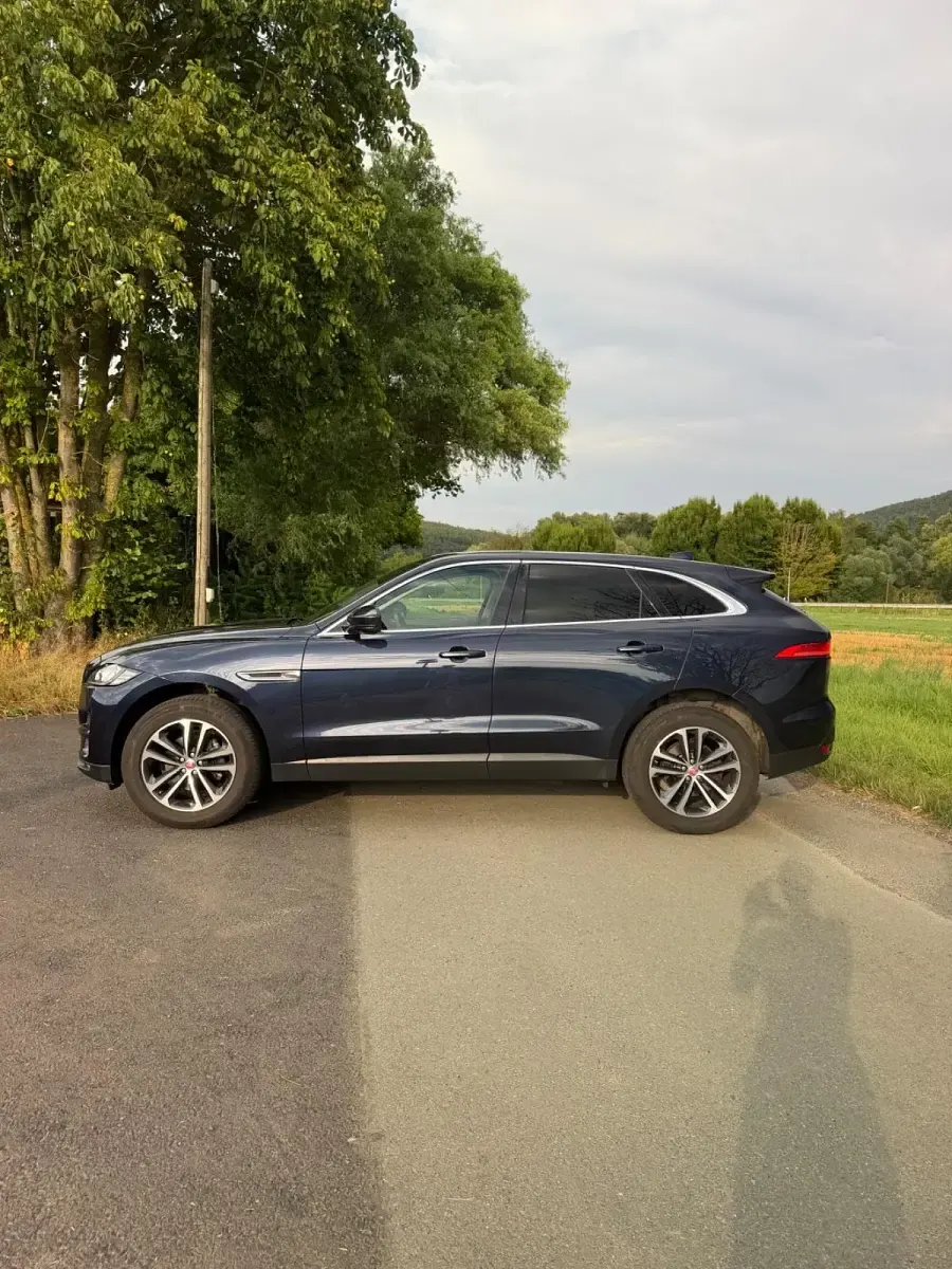 Gebraucht Jaguar F-Pace Prestige 241 PS (177 kW) 2019 Blau SUV