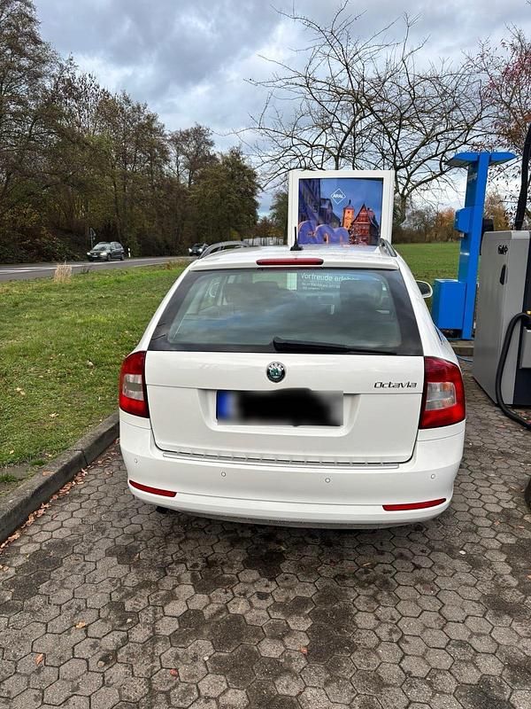 Gebraucht Skoda Octavia 105 PS (77 kW) 2011 Weiß Kombi