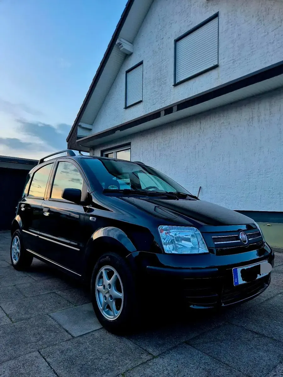 Gebraucht Fiat Panda Dynamic 60 PS (44 kW) 2009 Schwarz Kleinwagen
