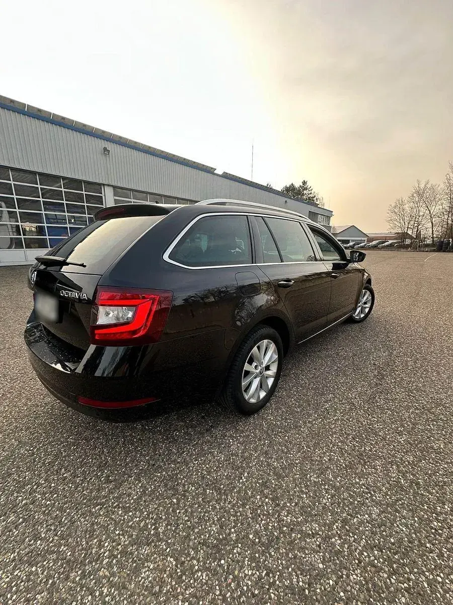 Gebraucht Skoda Octavia 150 PS (110 kW) 2019 Schwarz Kombi