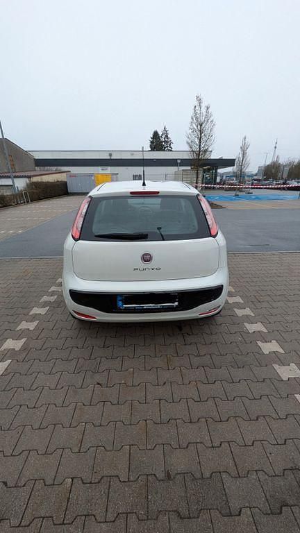 Weiß Gebraucht 2011 Fiat Punto Pop Kleinwagen | 2.900 € (Fairer Preis) - Bild 1/4