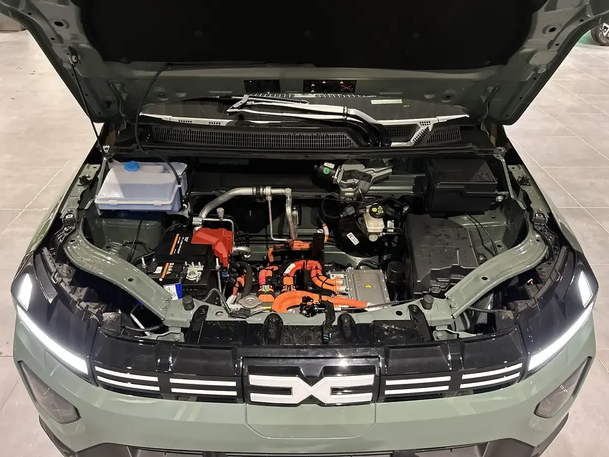 Neu Dacia Spring Extreme 47 kW (65 PS) 2025 Olivgrün Kleinwagen