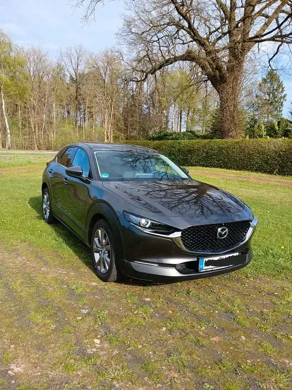 Gebraucht Mazda CX-30 Selection 150 PS (110 kW) 2020 Grau SUV
