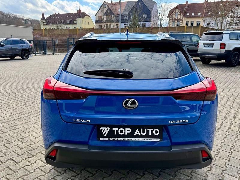 Gebraucht Lexus UX 250h 184 PS (135 kW) 2024 Blau SUV