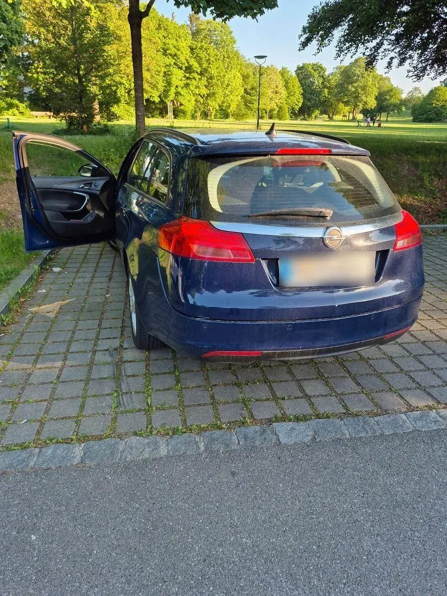 Gebraucht Opel Insignia Active 110 PS (80 kW) 2012 Blau Kombi
