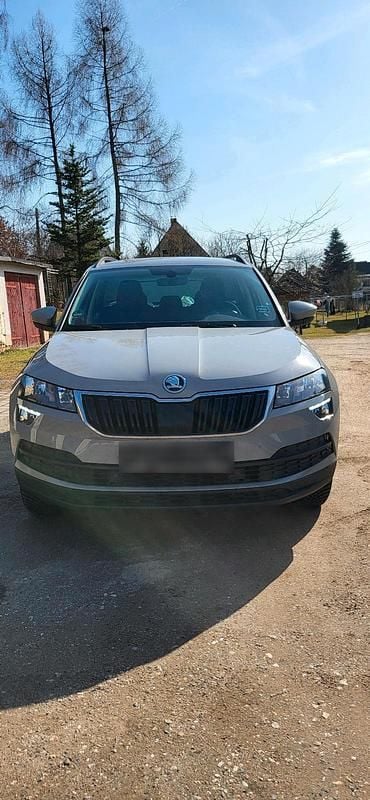 Gebraucht Skoda Karoq 150 PS (110 kW) 2020 Grau SUV