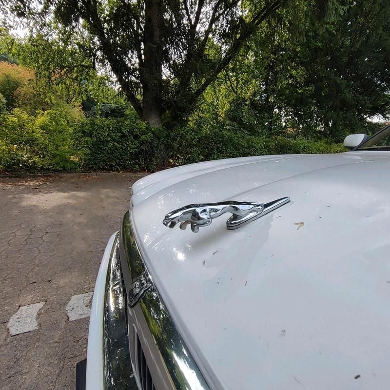 Weiß Gebraucht 1997 Jaguar X300 Limousine | 3.800 € - Bild 1/4