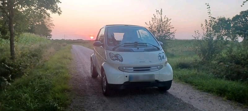 Gebraucht Smart ForTwo Cabrio 69 PS (50 kW) 2002 Beige Cabrio