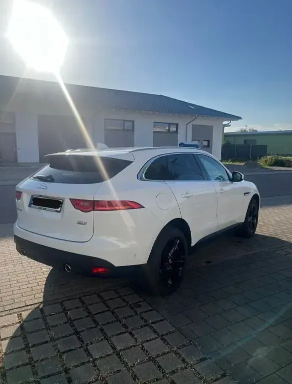 Gebraucht Jaguar F-Pace Portfolio 300 PS (220 kW) 2017 Weiß SUV