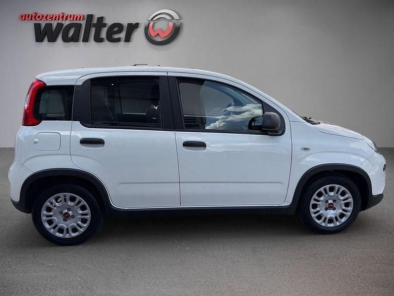 Gebraucht Fiat Panda 69 PS (50 kW) 2024 Weiß Kleinwagen