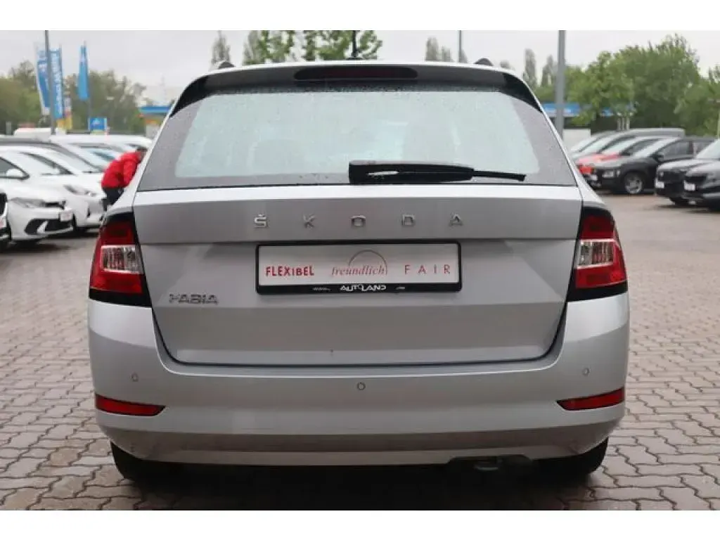 Gebraucht Skoda Fabia Active 60 PS (44 kW) 2022 Brillantsilber metallic (metallic) Kleinwagen