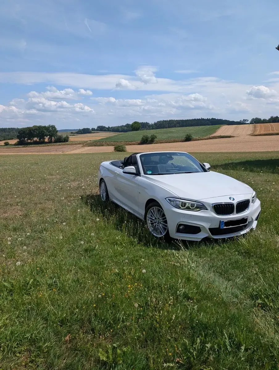 Gebraucht BMW 220 Shadowline 190 PS (139 kW) 2016 Weiß Cabrio