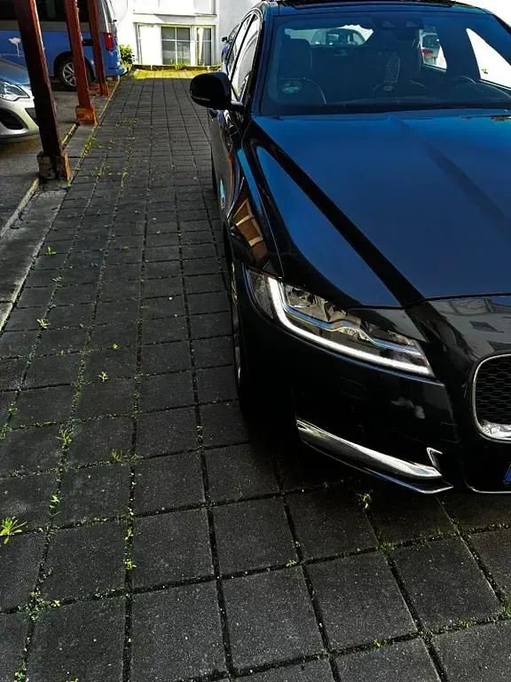 Gebraucht Jaguar XF Portfolio 179 PS (131 kW) 2019 Grau Limousine