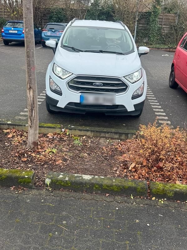 Gebraucht Ford Ecosport Cool & Connect 125 PS (91 kW) 2019 Weiß SUV