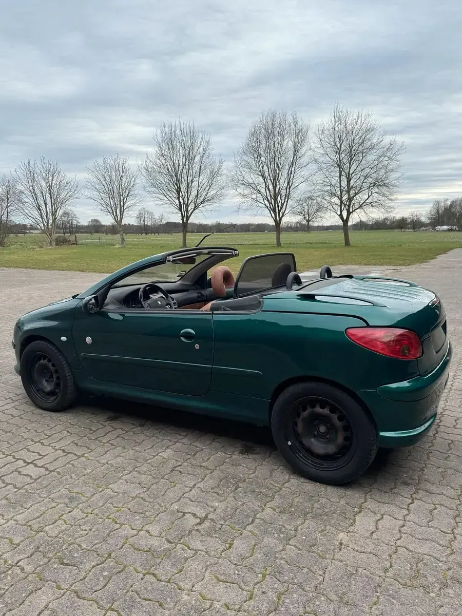 Używany Peugeot 206 110 KM (80 kW) 2006 Zielony Kabriolet