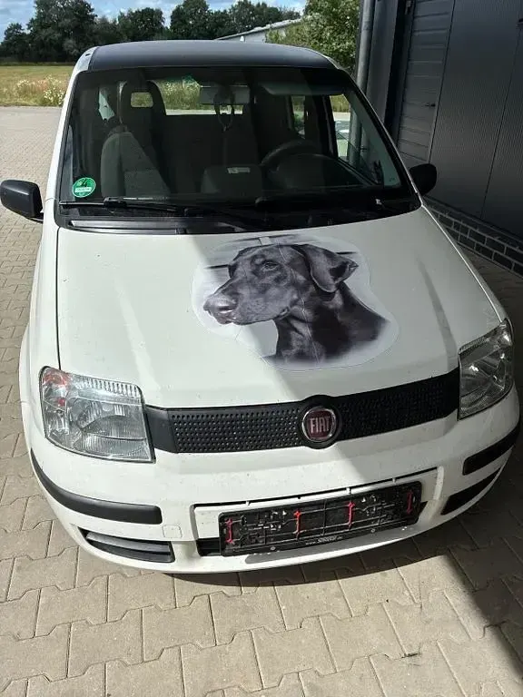 Gebraucht Fiat Panda 54 PS (39 kW) 2009 Weiß Kleinwagen