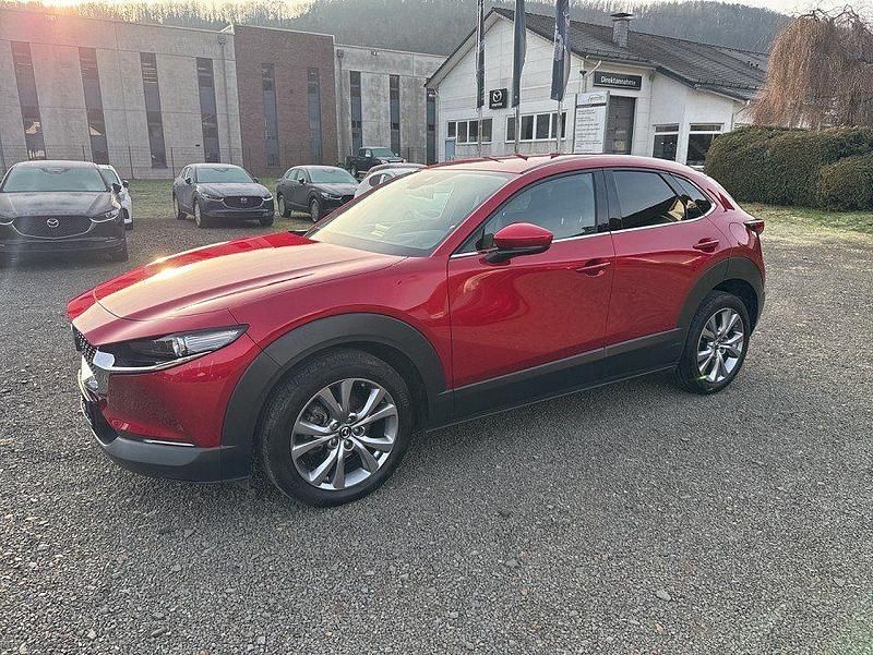 Gebraucht Mazda CX-30 Selection 150 PS (110 kW) 2022 Soul red crystal SUV
