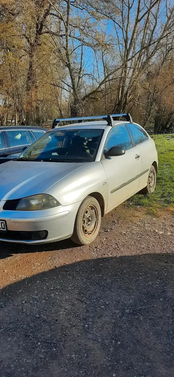Używany Seat Ibiza 75 KM (55 kW) 2004 Srebrny Hatchback
