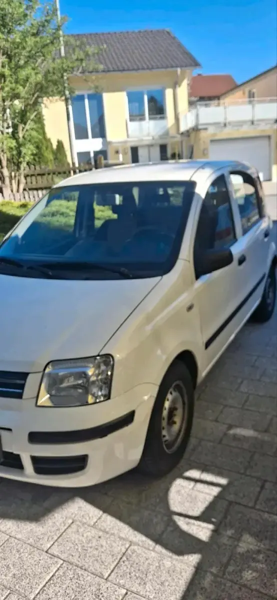 Usata Fiat Panda 60 CV (44 kW) 2009 Bianco Utilitaria