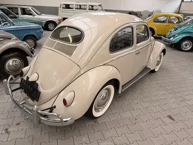 Gebraucht VW Käfer 1955 Weiss