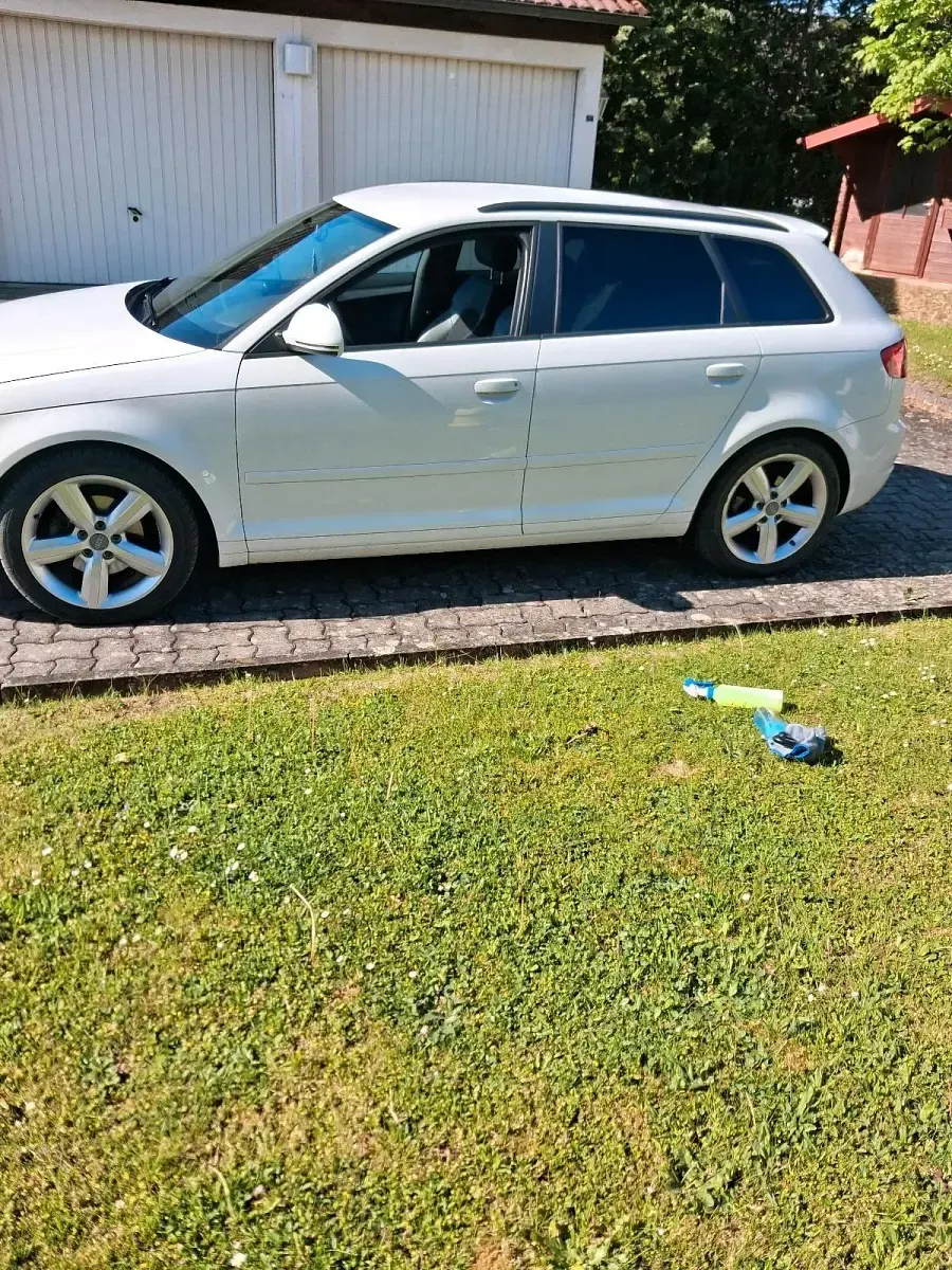 Gebraucht Audi A3 S-Line 160 PS (117 kW) 2008 Weiß Kleinwagen