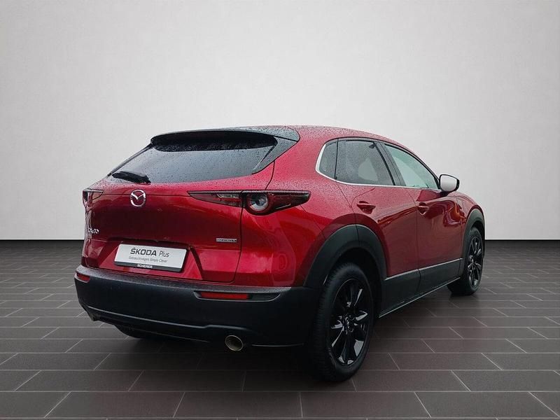Gebraucht Mazda CX-30 186 PS (136 kW) 2023 Soulrot metallic (metallic) SUV