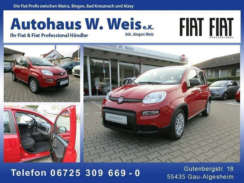 Rot Neu 2024 Fiat Panda Kleinwagen | 15.500 € (Fairer Preis) - Bild 1/4