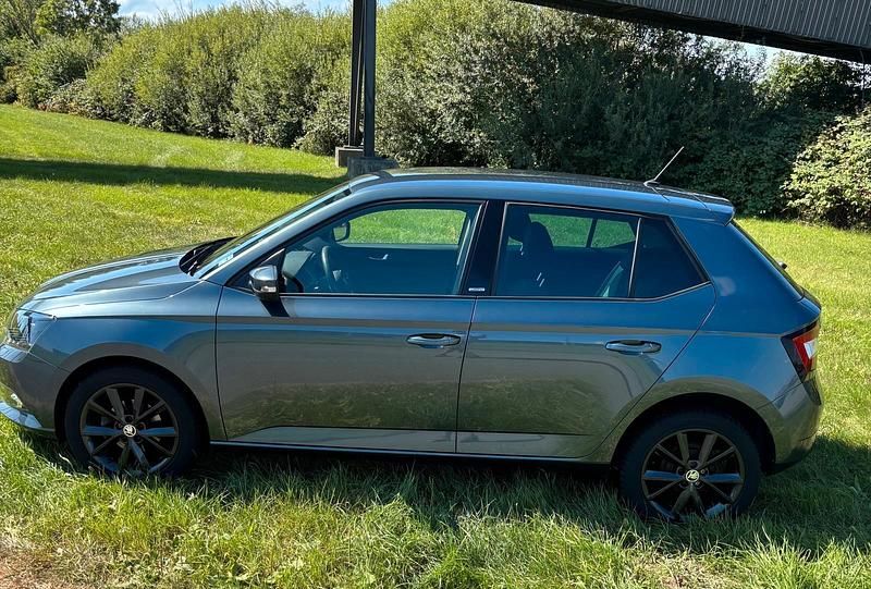 Grau Gebraucht 2016 Skoda Fabia Joy Kleinwagen | 9.100 € (Guter Preis) - Bild 1/4