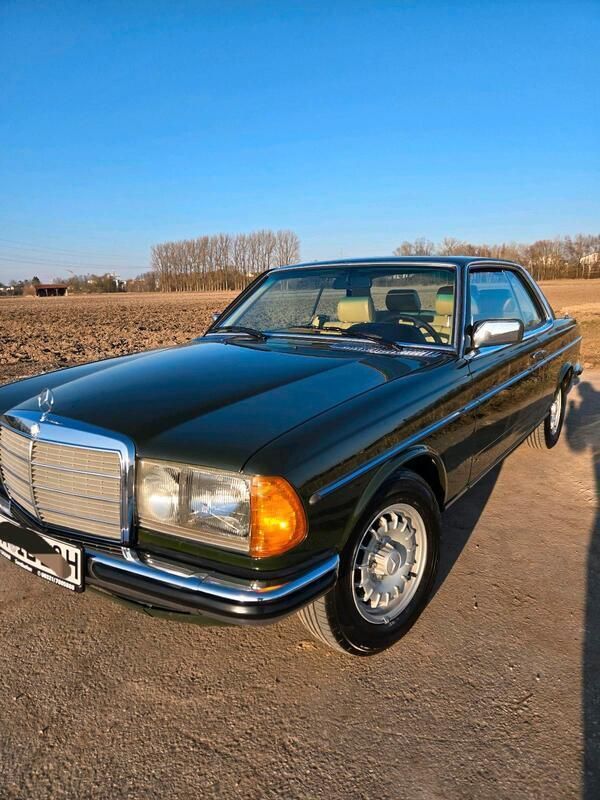 Grün Gebraucht 1981 Mercedes 230 Classic Coupé | 26.999 € - Bild 1/4