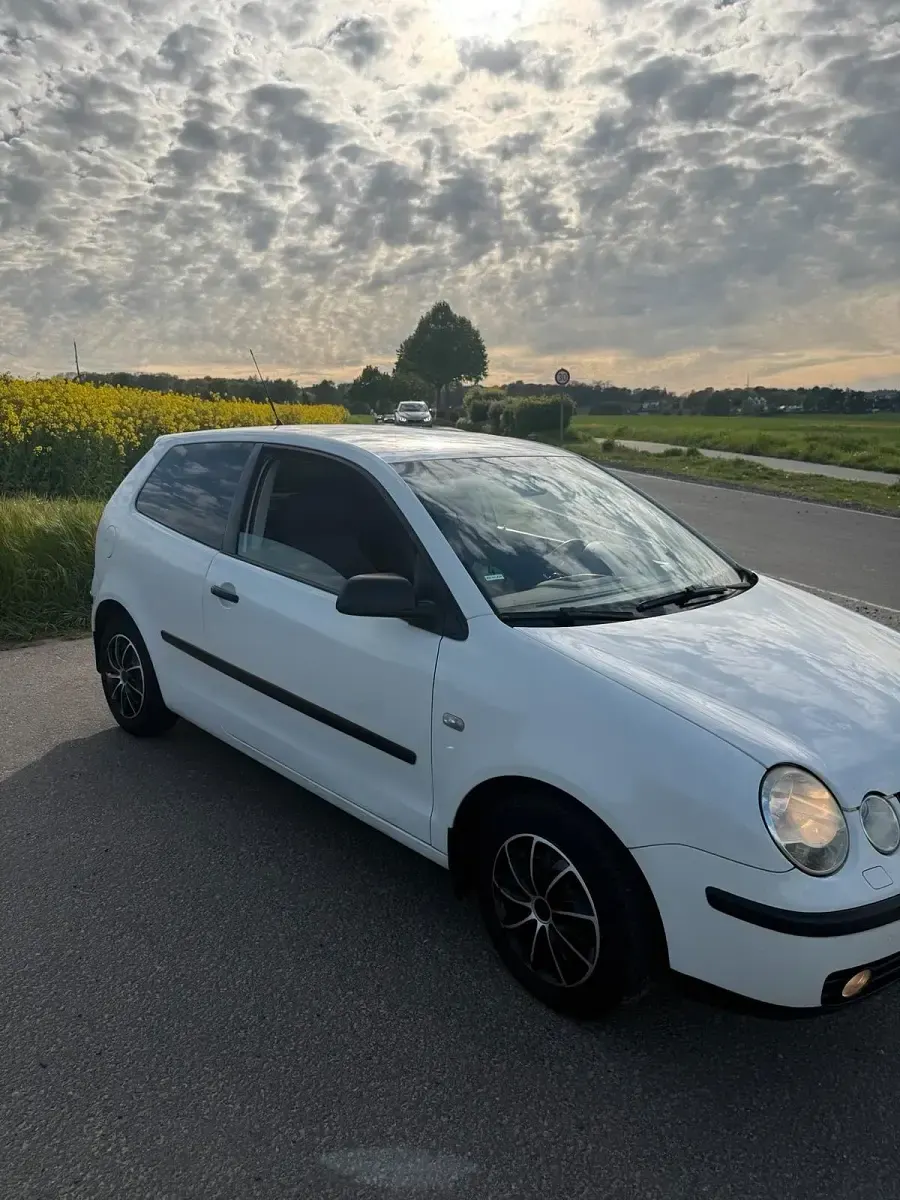 Gebraucht VW Polo 75 PS (55 kW) 2005 Weiß Kleinwagen