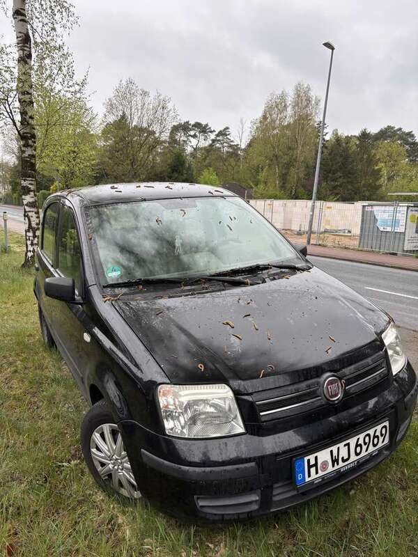 Gebraucht 2008 Fiat Panda 4x4 Kleinwagen | 1.300 € (Guter Preis) - Bild 1/4