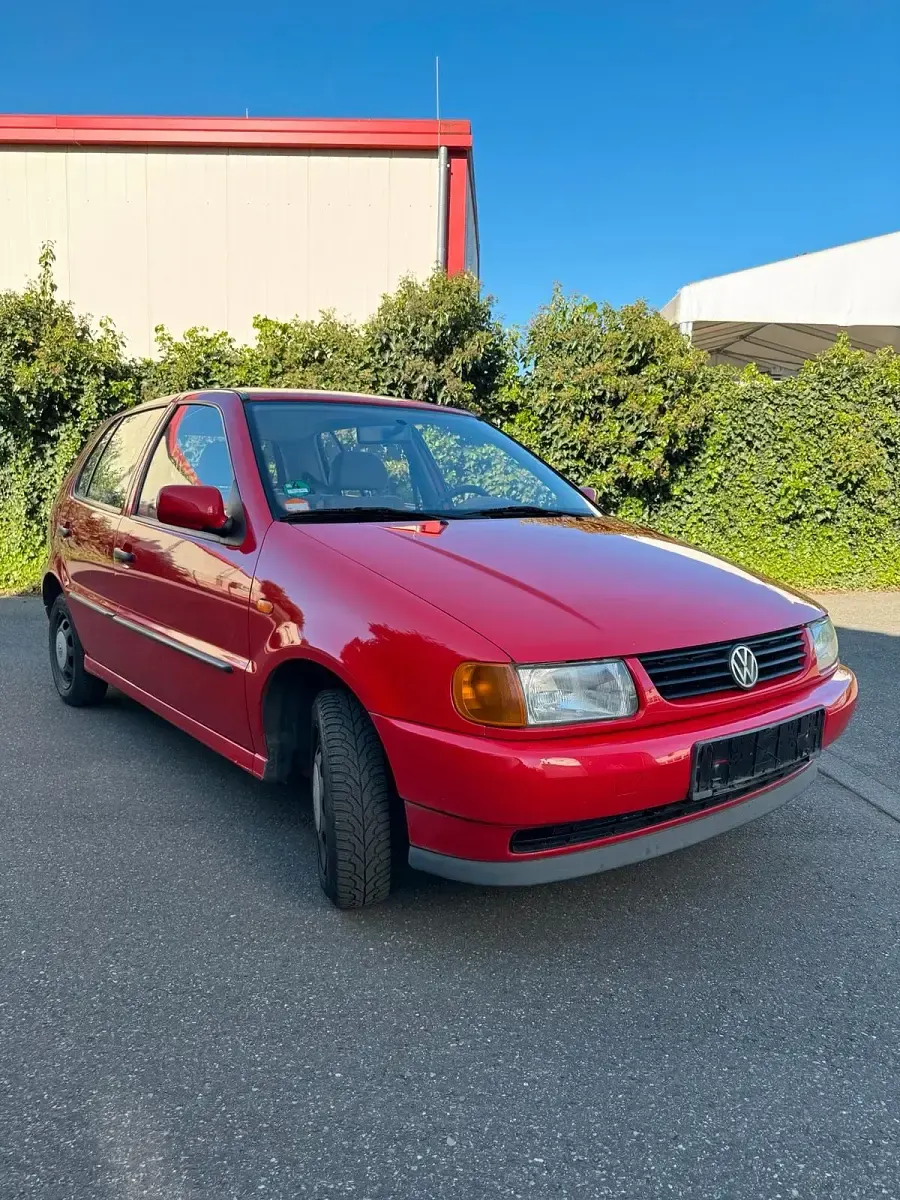 Usata VW Polo 60 CV (44 kW) 1997 Rosso Utilitaria