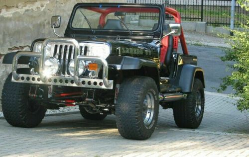 Verkauft Jeep Wrangler Yj V8 5 7l Gebraucht 19 67 000 Km In Sachsen Meerane