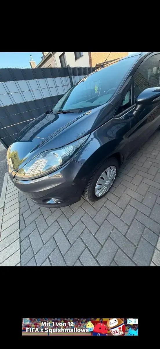 Gebraucht Ford Fiesta 82 PS (60 kW) 2010 Grau Kleinwagen