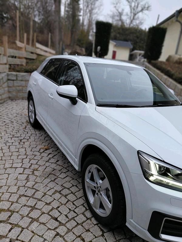 Gebraucht Audi Q2 Sport 150 PS (110 kW) 2019 Weiß SUV