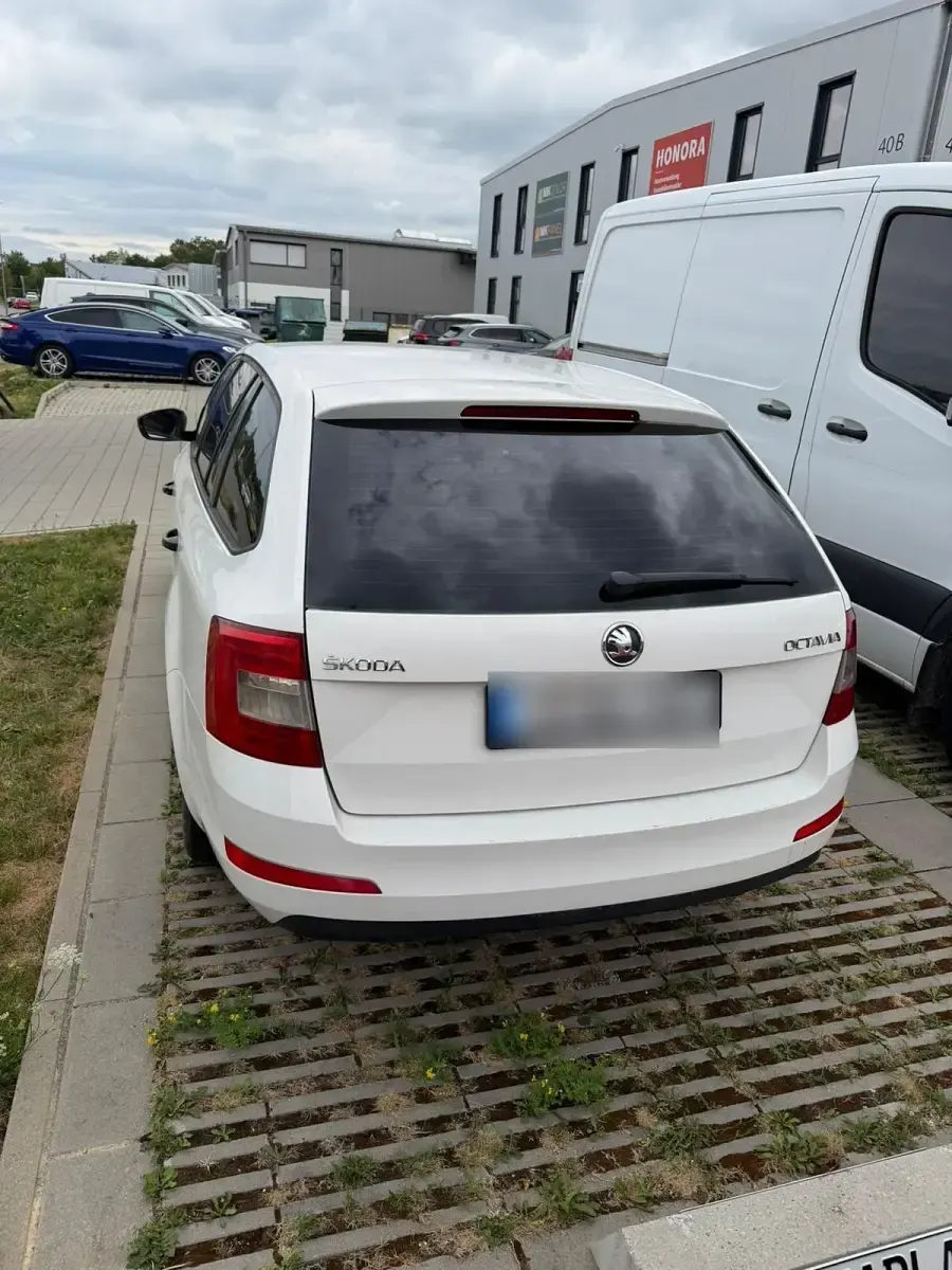 Gebraucht Skoda Octavia 105 PS (77 kW) 2014 Weiß Kombi